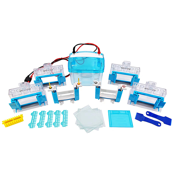 Protein Electrophoresis Equipment DYCZ-MINI4 - PCR Detection