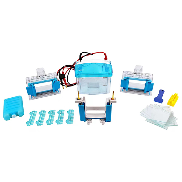 Protein Electrophoresis Equipment DYCZ-MINI2 for SDS PAGE