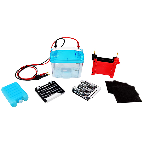 Western Blotting Transfer System DYCZ-TRANS2