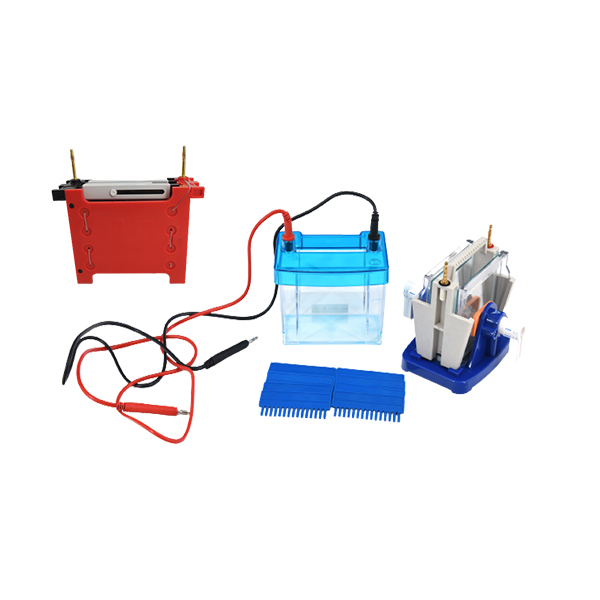 Electrophoresis Cell for SDS-PAGE and Western Blot