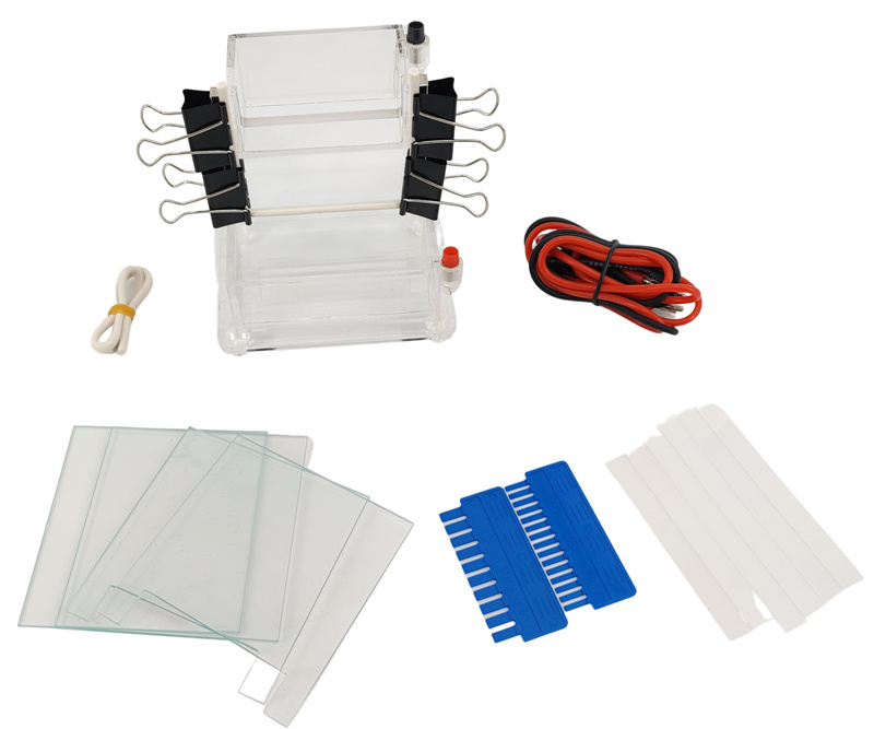 Wholesale Vertical Electrophoresis System DYCZ-23A