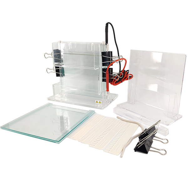 Wholesale Vertical Electrophoresis System DYCZ-22A for DNA Separation