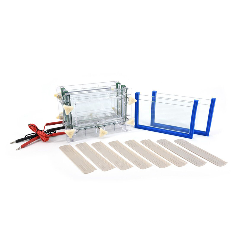 Dual Vertical Electrophoresis Cell DYCZ-30C