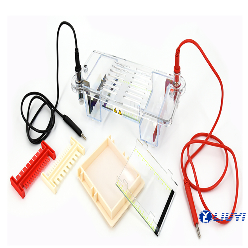 Nucleic Acid Horizontal Electrophoresis Cell DYCP-31CN for Native Gel Runs