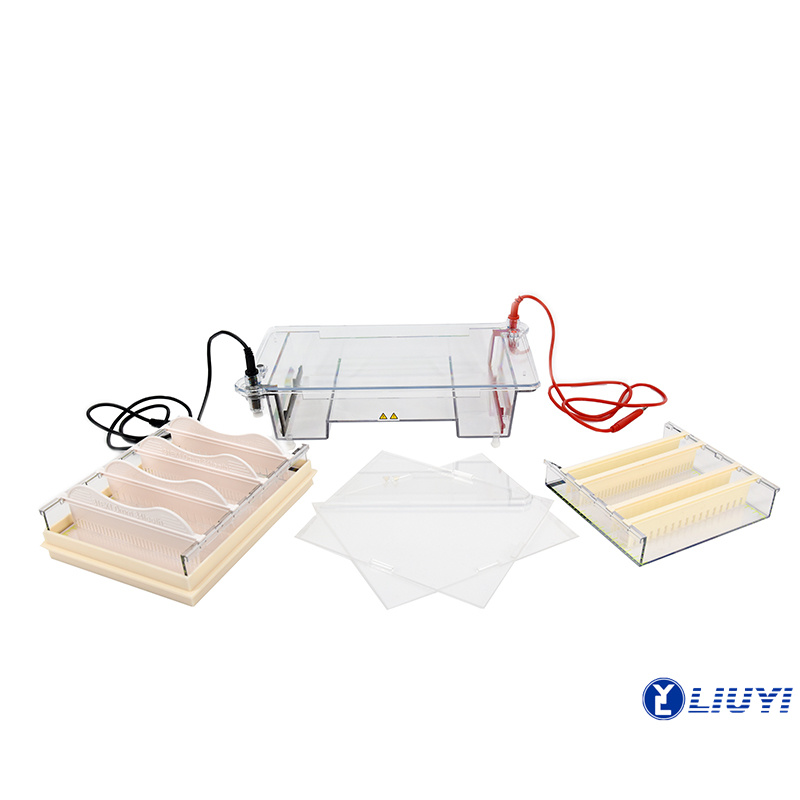 Nucleic Acid Horizontal Electrophoresis Cell DYCP-31E