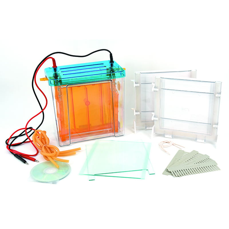 Modular Dual Vertical System DYCZ-24F for Native Gel Protein Testing
