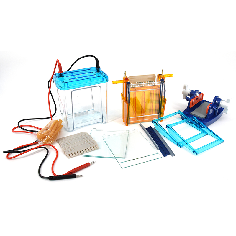 Modular Dual Vertical System DYCZ-24EN for Protein Gel Electrophoresis