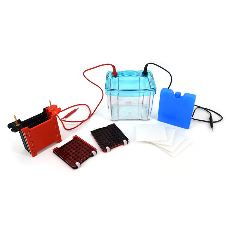 Trans-Blotting Electrophoresis Cell DYCZ-40G for Western Blot PCR