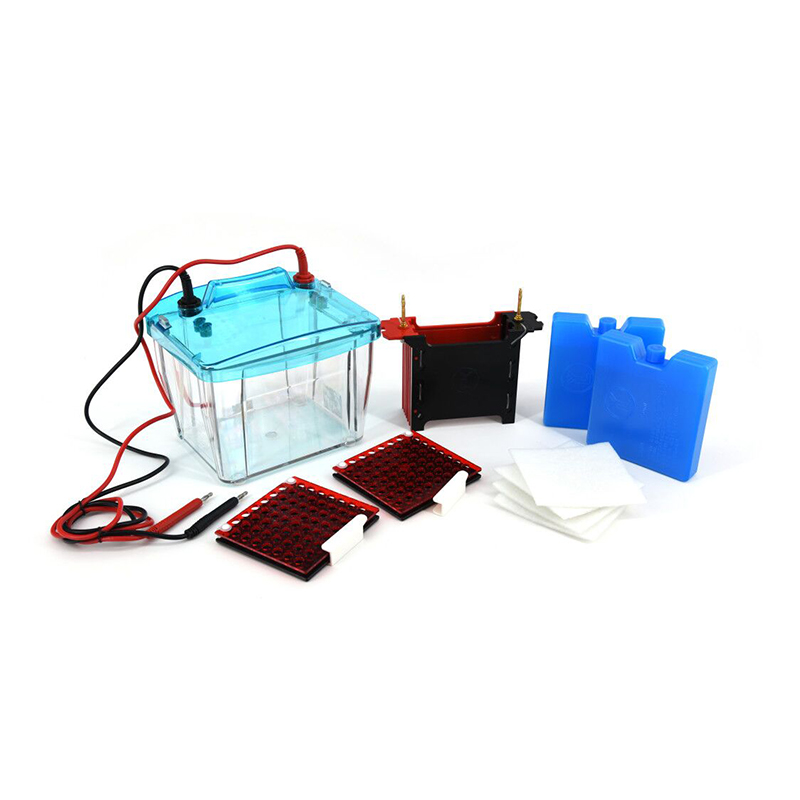 Trans-Blotting Electrophoresis Cell DYCZ-40F for PCR Detection