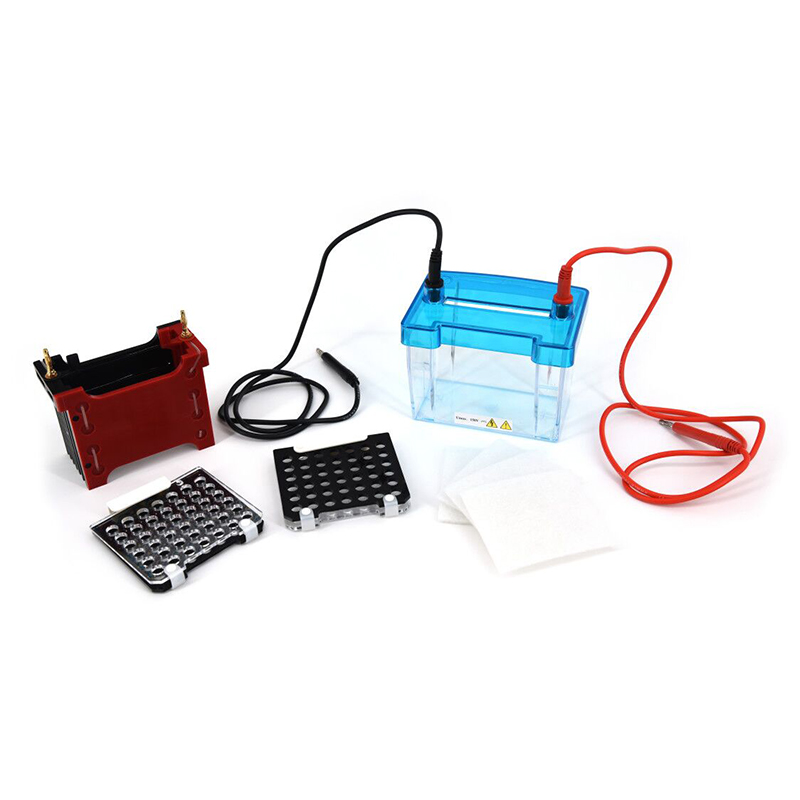 Trans-Blotting Electrophoresis Cell DYCZ-40D for PCR Detection