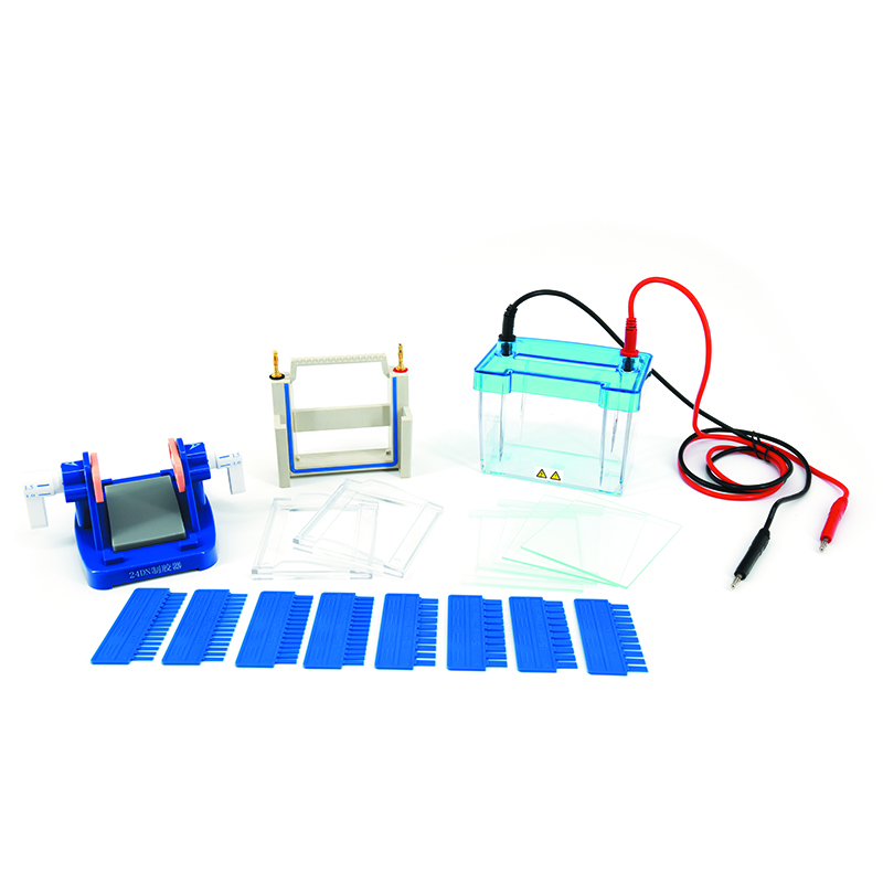 Mini Modular Dual Vertical System DYCZ-24DN for RNA Analysis