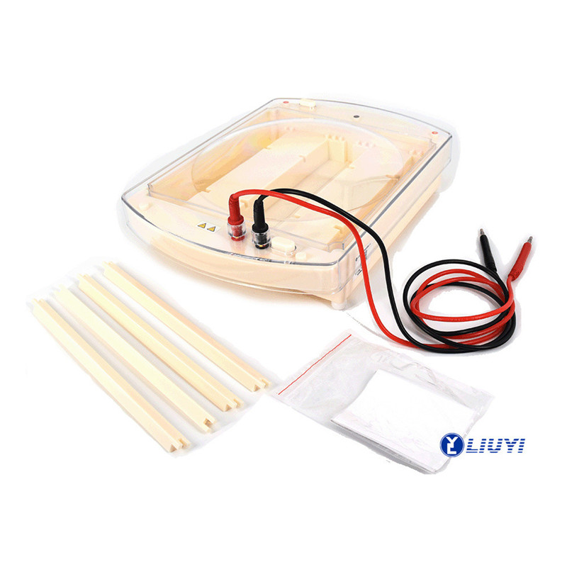 Cellulose Acetate Film Electrophoresis Cell DYCP-38C for PCR Detection