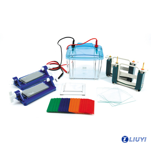 4 Gels Vertical Electrophoresis Cell DYCZ-25E for PCR Detection