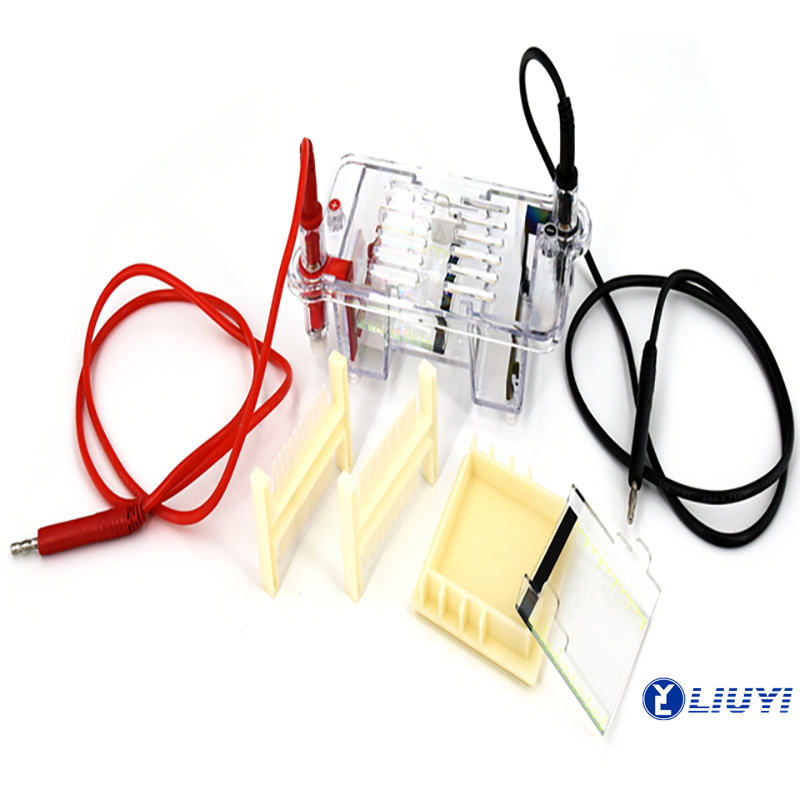 Nucleic Acid Horizontal Electrophoresis Cell DYCP-31BN