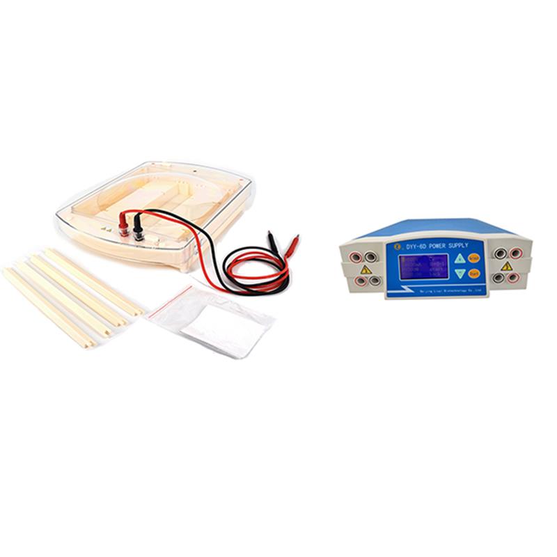 Hb Electrophoresis System with Power Supply for DNA Separation