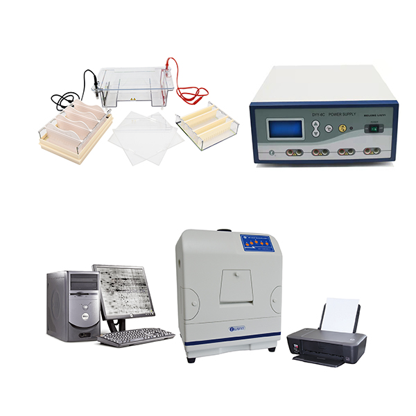 Turnkey Solution for Gel Electrophoresis and PCR Detection