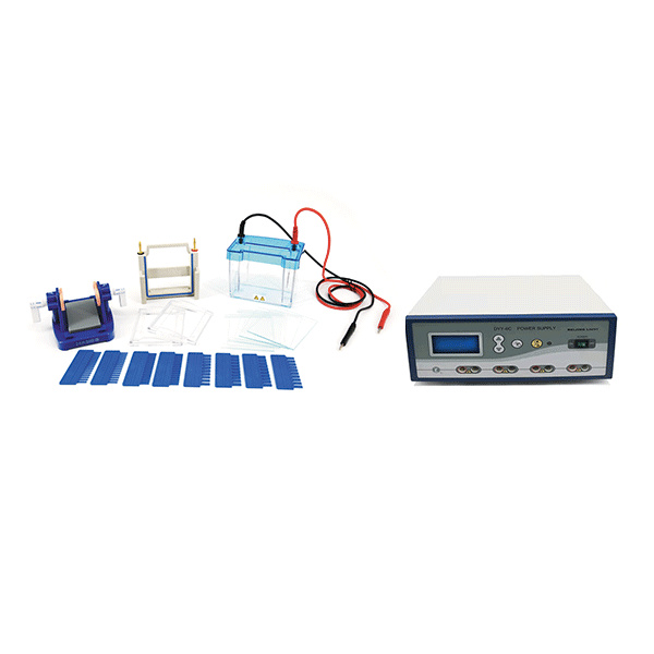 SDS-PAGE Gel Electrophoresis System for DNA and Protein Separation