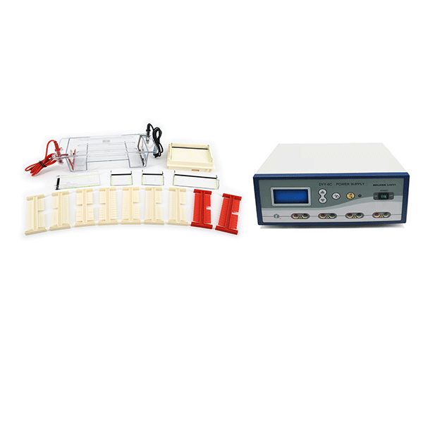 Horizontal Agarose Gel Electrophoresis System