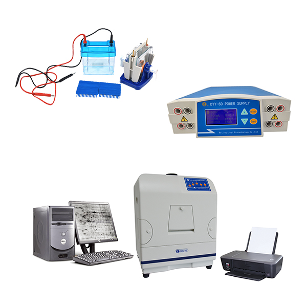 Turnkey Solution for Protein Electrophoresis Products